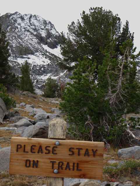 Please stay on trail sign.