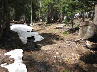Trail past footbridge to Winnemucca Lake flowing as a little creek