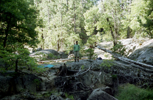 Camp just South of Camp Irene, South side of the Mokelumne River