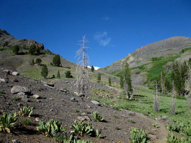 Final section of trail below Highland Lake Trailhead.