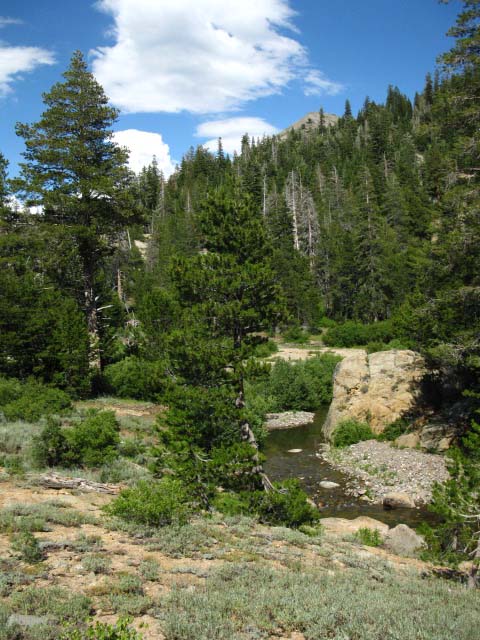 High reaches of Highland Creek, Stanislaus National Forest.