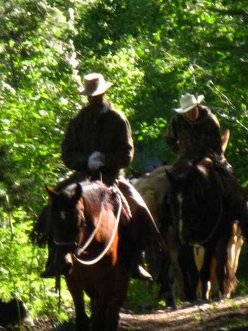 Kennedy Meadows Horsepackers on the trail.
