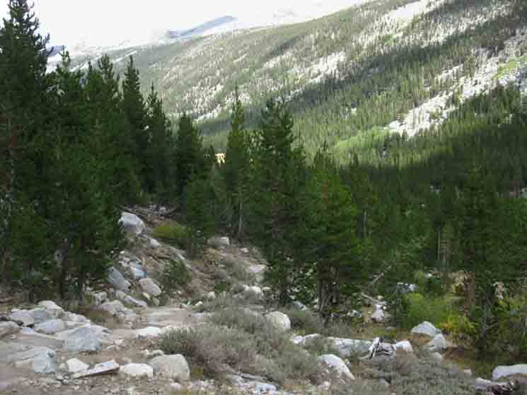 Looking down upper Lyell Canyon as we climb to Donohue Pass.