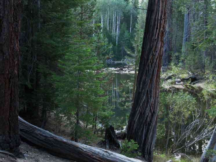 Bend in Merced River in Little Yosemite Valley.