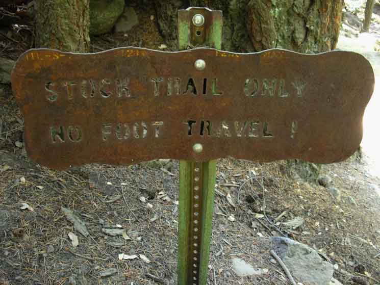Junction of the Horse Trail with the John Muir Trail.
