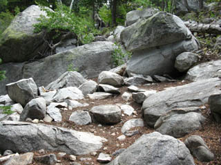 Rock in forest