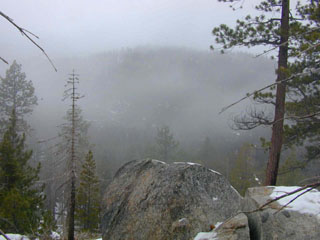 Halfway to Round Lake, Living Mists
