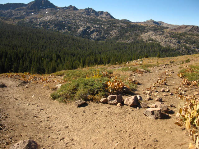 The first cutoff to the Tahoe Yosemite Trail past Carson Gap