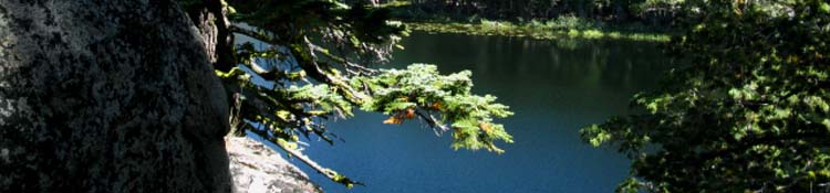 Rubicon Lake through dense forest and rock.