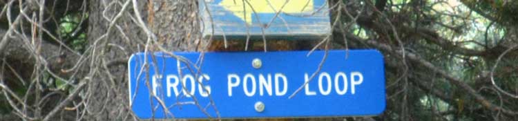 Frog Pond Loop, a Winter blue diamond trail.