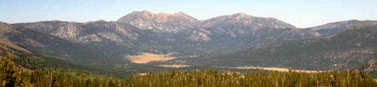 Pickett and Hawkins Peaks  from Forestdale Divide, Toiyabe National Forest