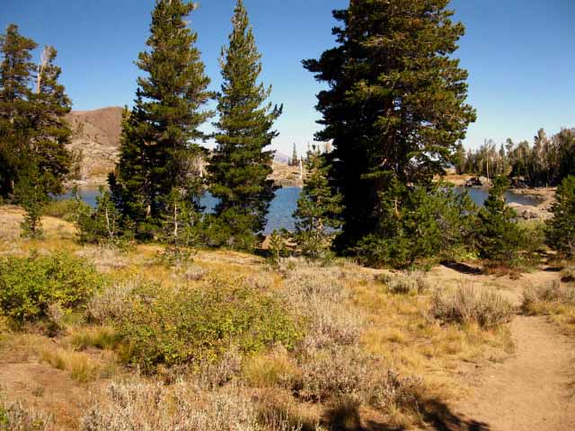 Frog Lake sits South of Carson Pass on the Pacific Crest Trail