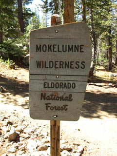Mokelumne Wilderness Boundary South of Carson Pass on the Pacific Crest Trail