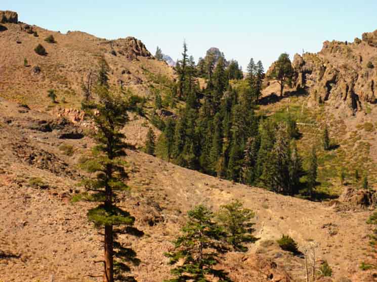 North view of Pacific Crest Trail along N side of Raymond Peak
