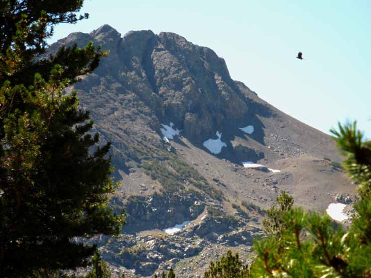 Round Top from the Pacific Crest Trail South of Carson Pass