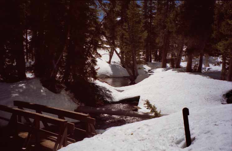 Woods Creek Footbridge collected sufficient heat to melt off its snow cover, May 2002.