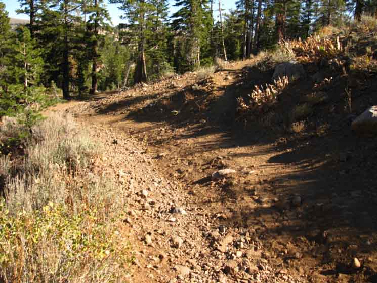 Combo Trail-Road near Wet Meadows Reservoir, Toiyabe NF, Pacific Crest Trail
