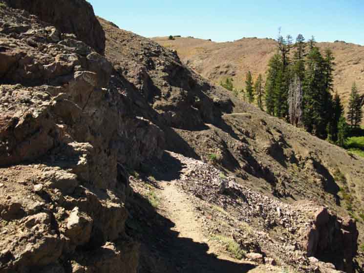 Pacific Crest Trail on the North Side of Raymond Peak