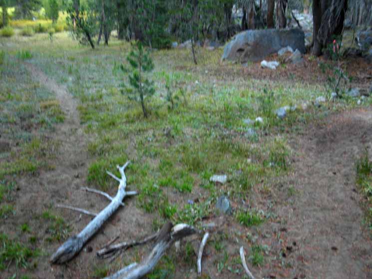 An unmarked Trail Junction is well blocked, North of the Blue Lakes Road