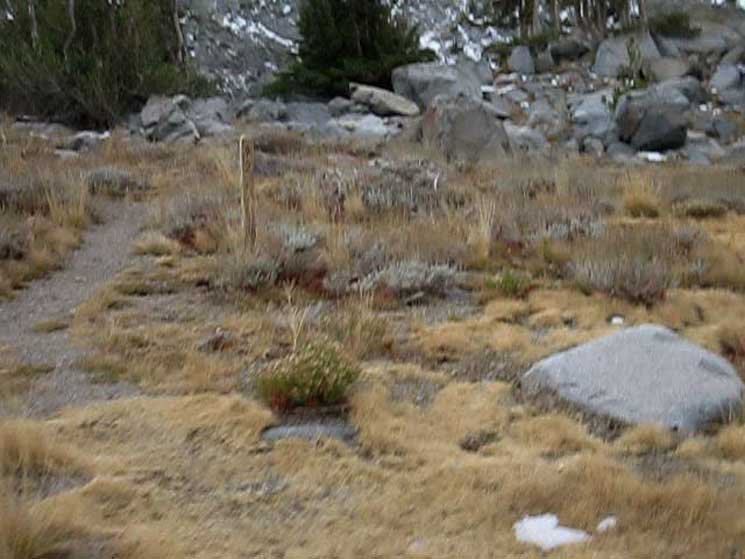 Campsite 2 marks a trail branching Southeast to Winnemucca Lake.