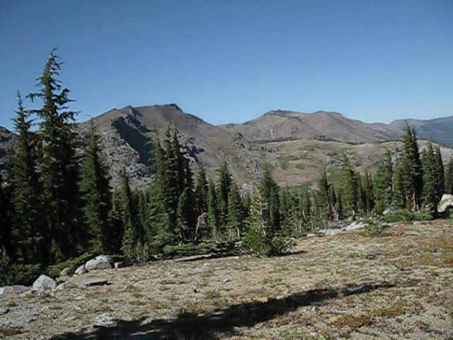 Elephant Back and Red Lake Peak from Forestdale Divide.