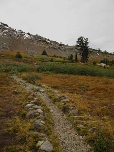 Trail to Round Top Lake from Winnemucca Lake.