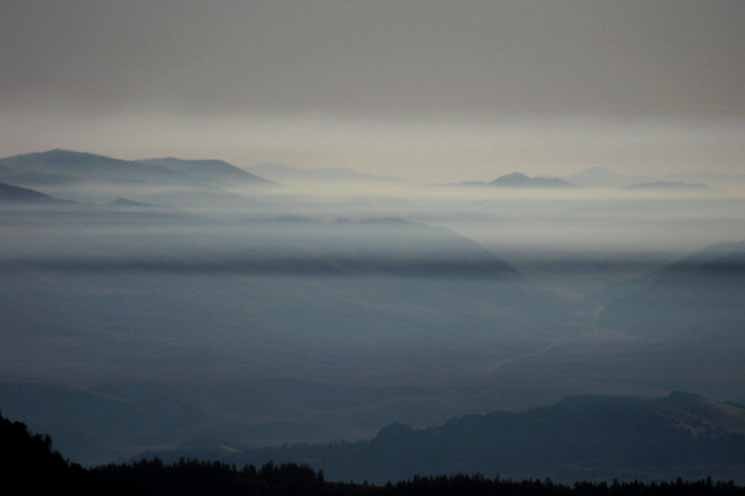 East Sierra Mists.