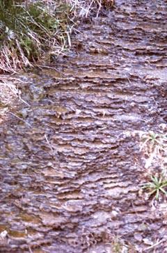 East Carson River mud flow detail.