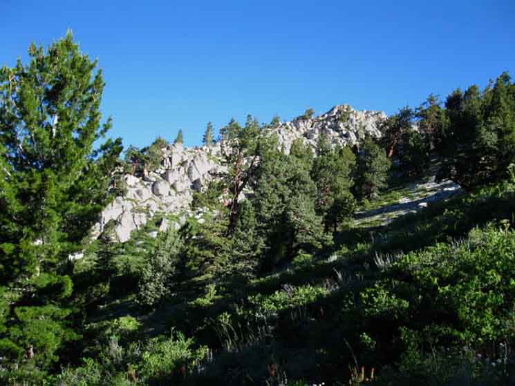 hiking around the Southwest flank of Boulder Peak.