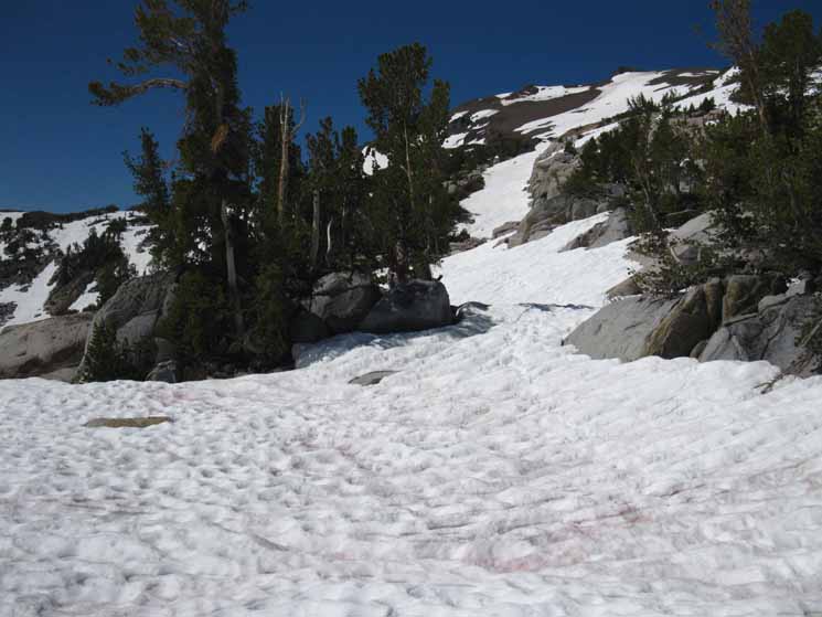 East Flank of Sonora Peak with Spring Snow.