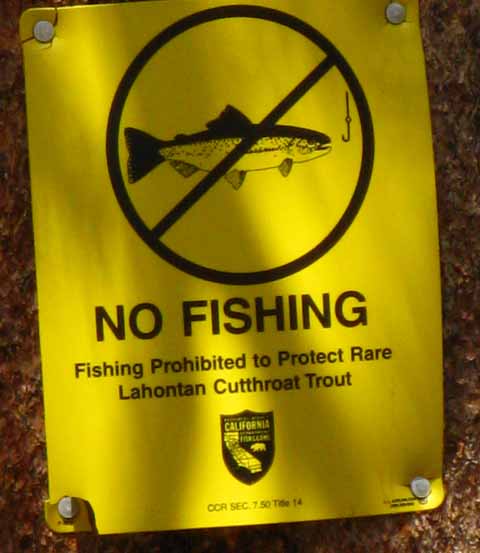 Lahontan fishing prohibition high up the East Carson River.