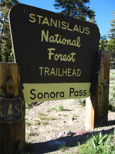 Sonora Pass National Forest Marker.