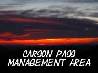 The best Carson Pass Management Area backpacking trail map.