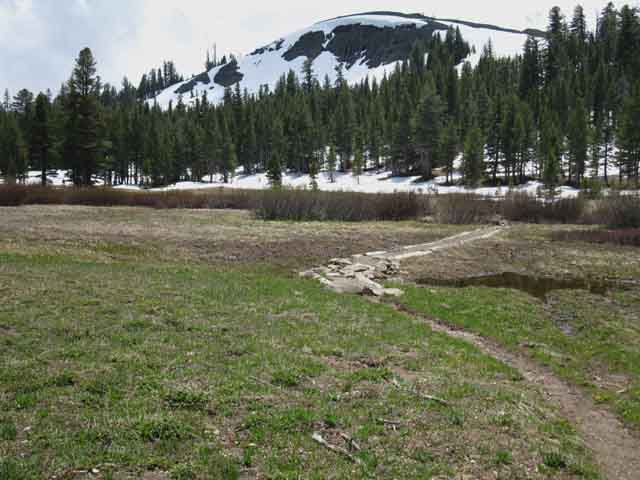 Pacific Crest Trail through Meiss Meadow, Spring