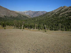 Kennedy Canyon and the PCT turn East, I head South over Big Sam into the Emigrant Basin, behind me in this picture.