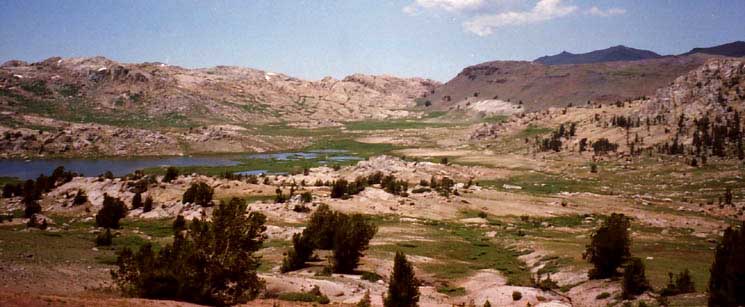 Brown Bear Pass on Northwest side of High Emigrant Meadow.
