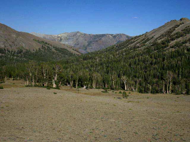 Kennedy Canyon, Pacific Crest Trail, Toiyabe National Forest.