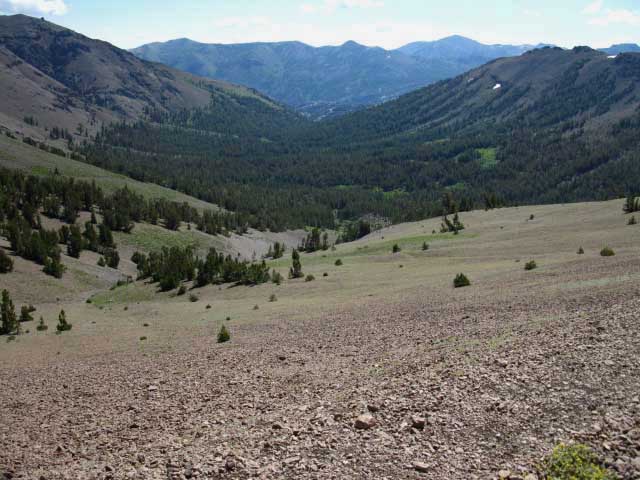 Looking East down Kennedy Canyon.