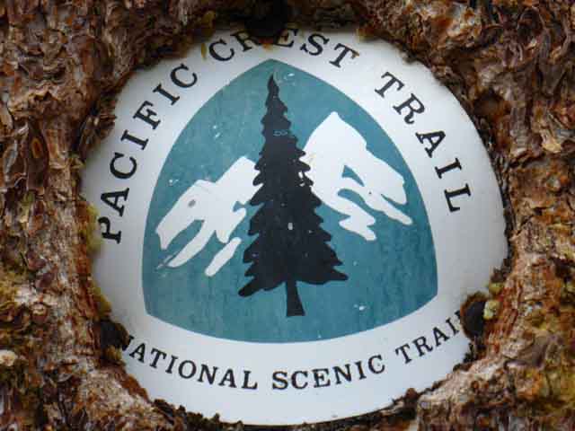 PCT badge in lower Kennedy Canyon.