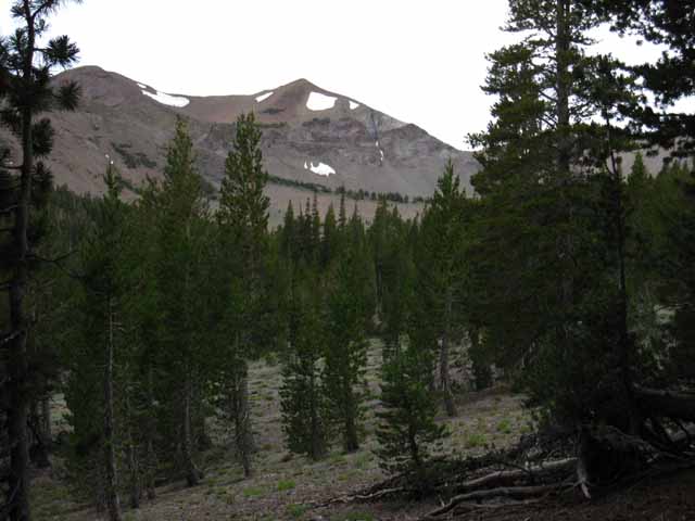 Upper section of Kennedy Canyon, Toiyabe National Forest.