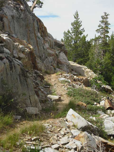Trail south of the upper Cinko Lake junction, PCT.