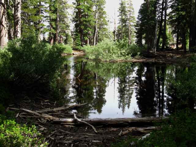 Upper Black pond between Cascade Creek and Cinko Lake trail junctions.