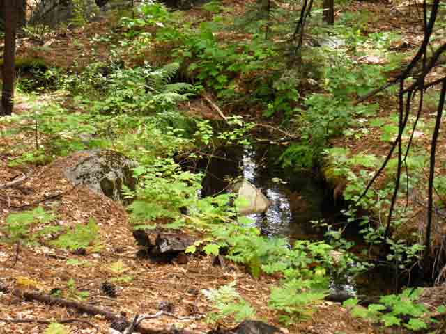 Creek West of Camp Irene.