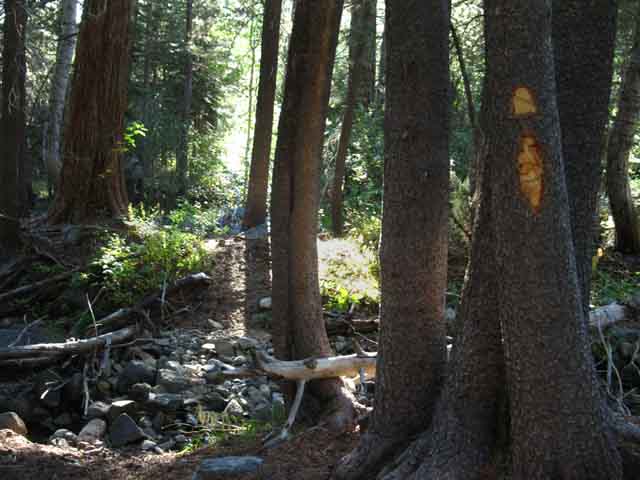 Informal trail work in Summit City Creek Canyon below Fourth of July Lake.
