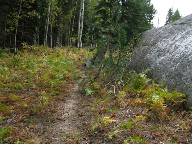 Approaching a Granite Zone towards the South end of the Fern Zone.