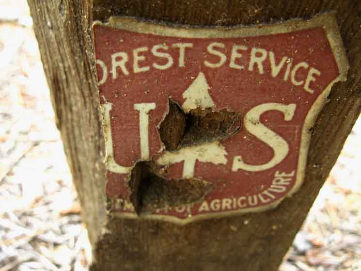 Forest Service Insignia Telephone Gulch.