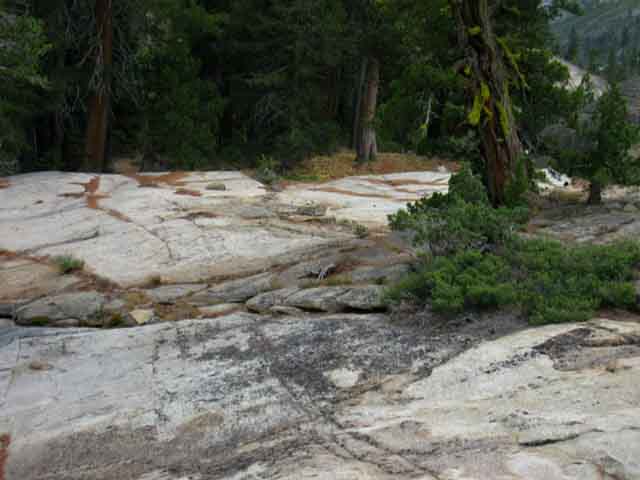 Granite sheet down to wedge of forest along Tahoe to Yosemite Trail in Summit City Canyon.