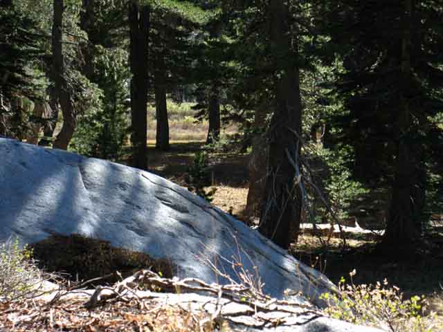 Creek nears trail route, campsites ensue.