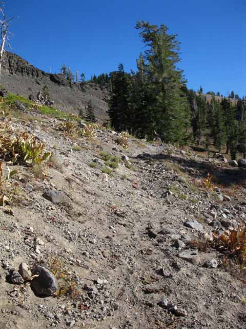 Rising above forest and granite into the volcanic terrain topping the ridgeline of Mount Reba.