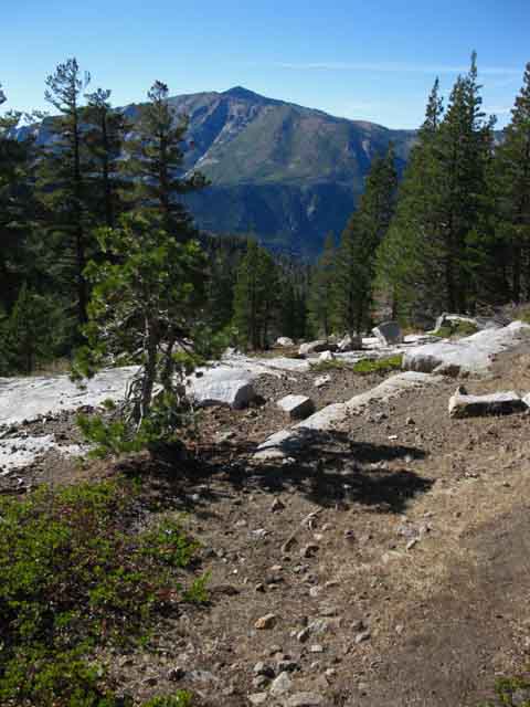 Mokelumne Peak from Lake Valley, Tahoe to Yosemite Trail.